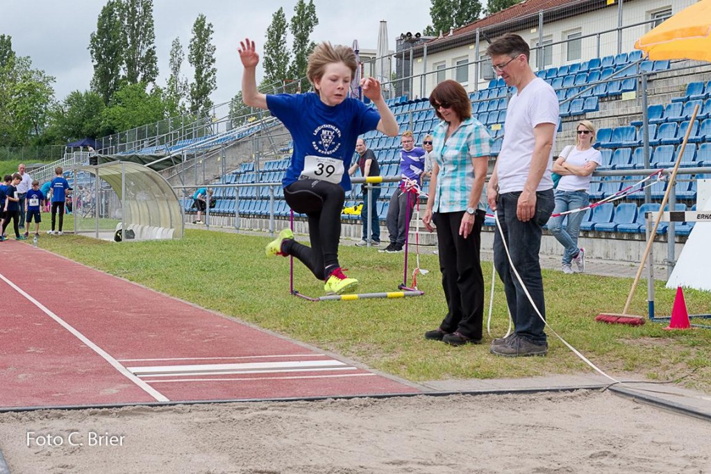 K1024_BRIER-7903160514